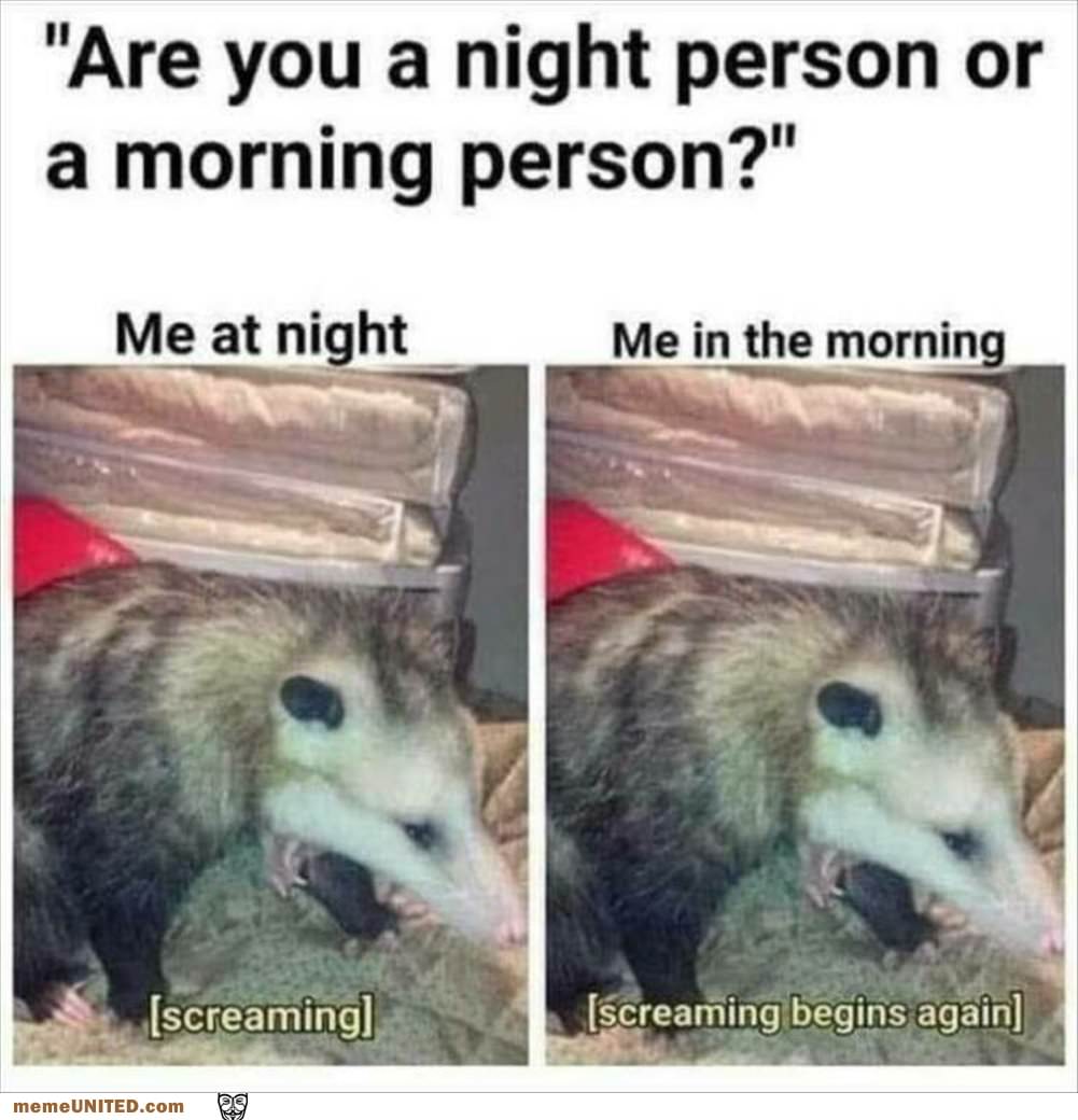 Are You A Morning Or Night Person
