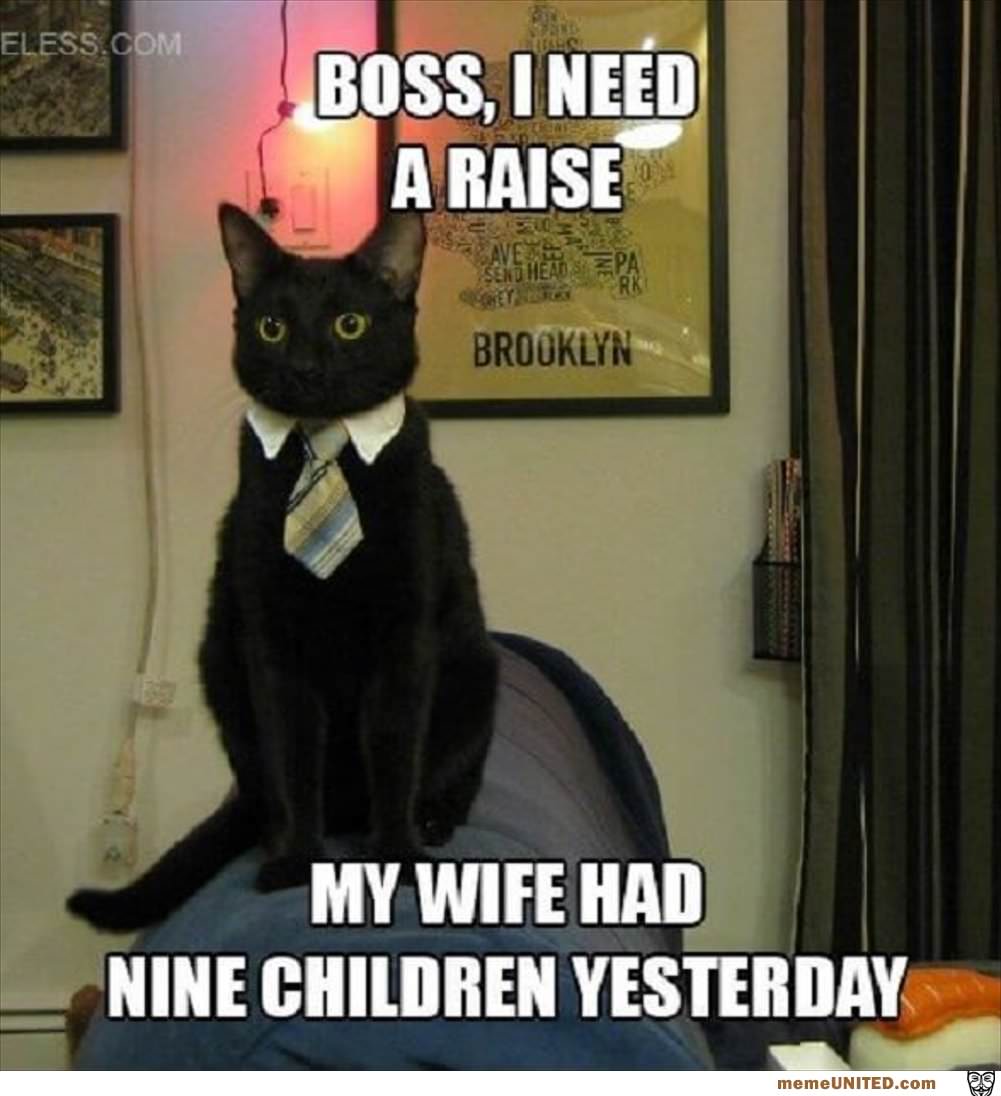 I Need A Raise