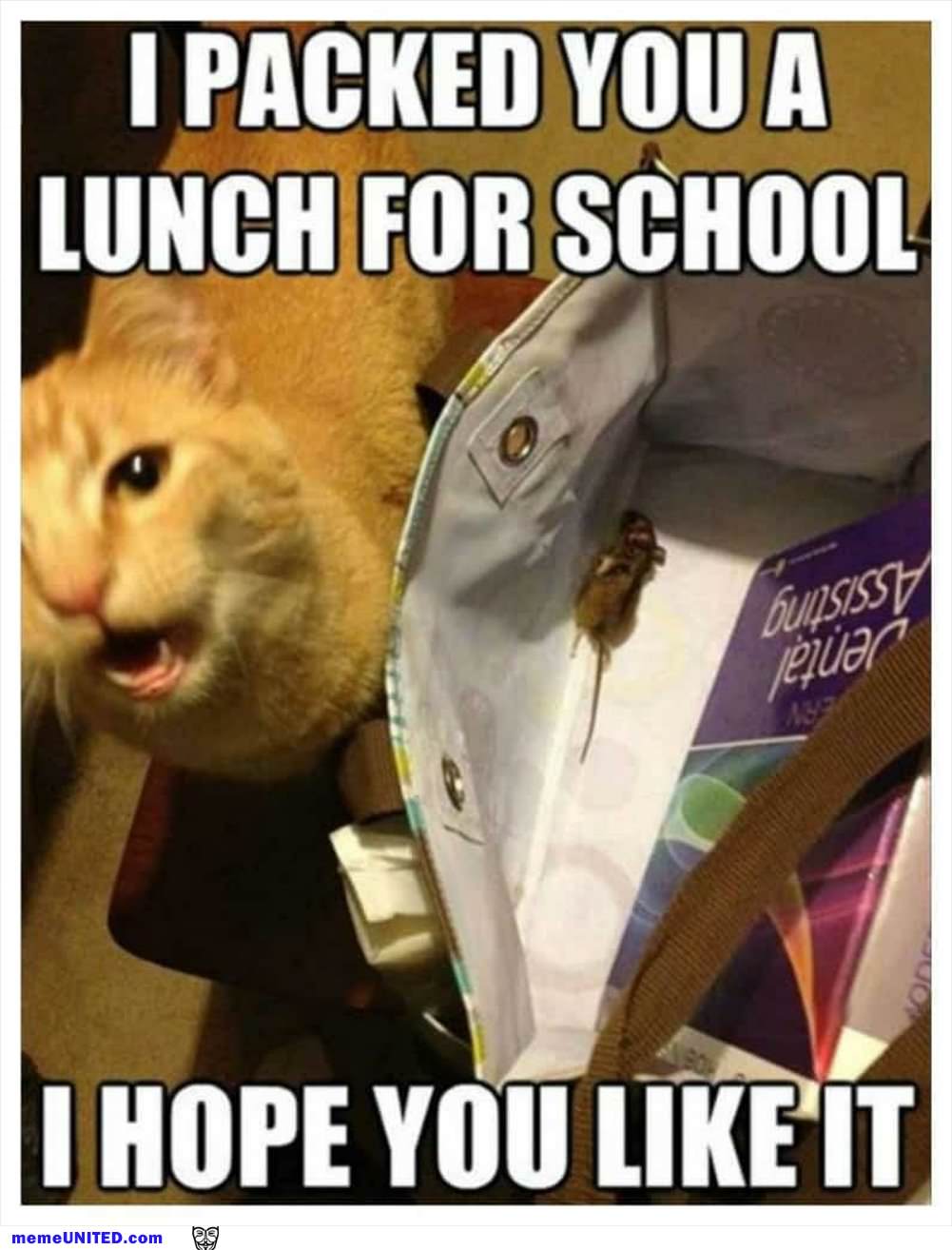 I Packed You A Lunch