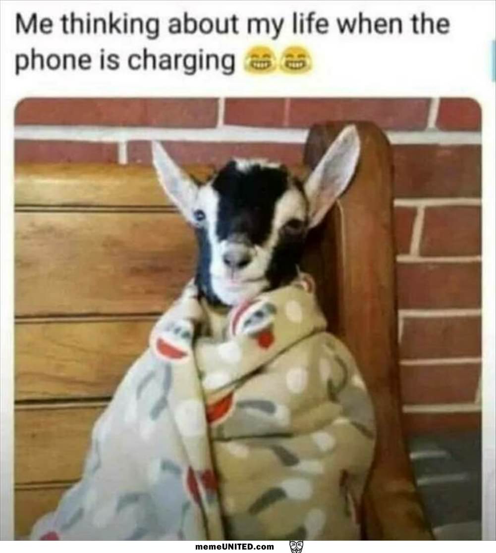 When The Phone  Is Charging