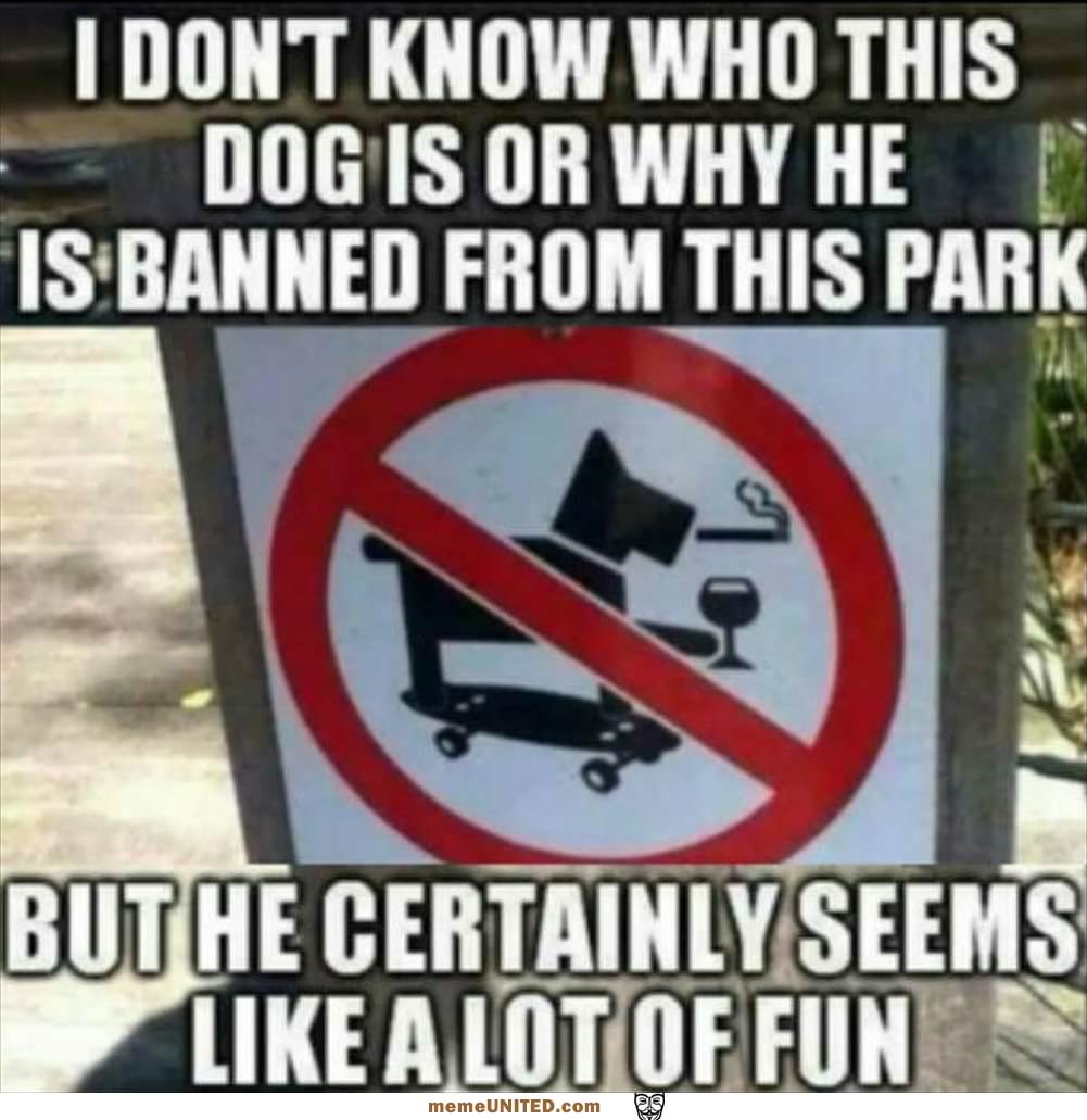 Who Is This Dog