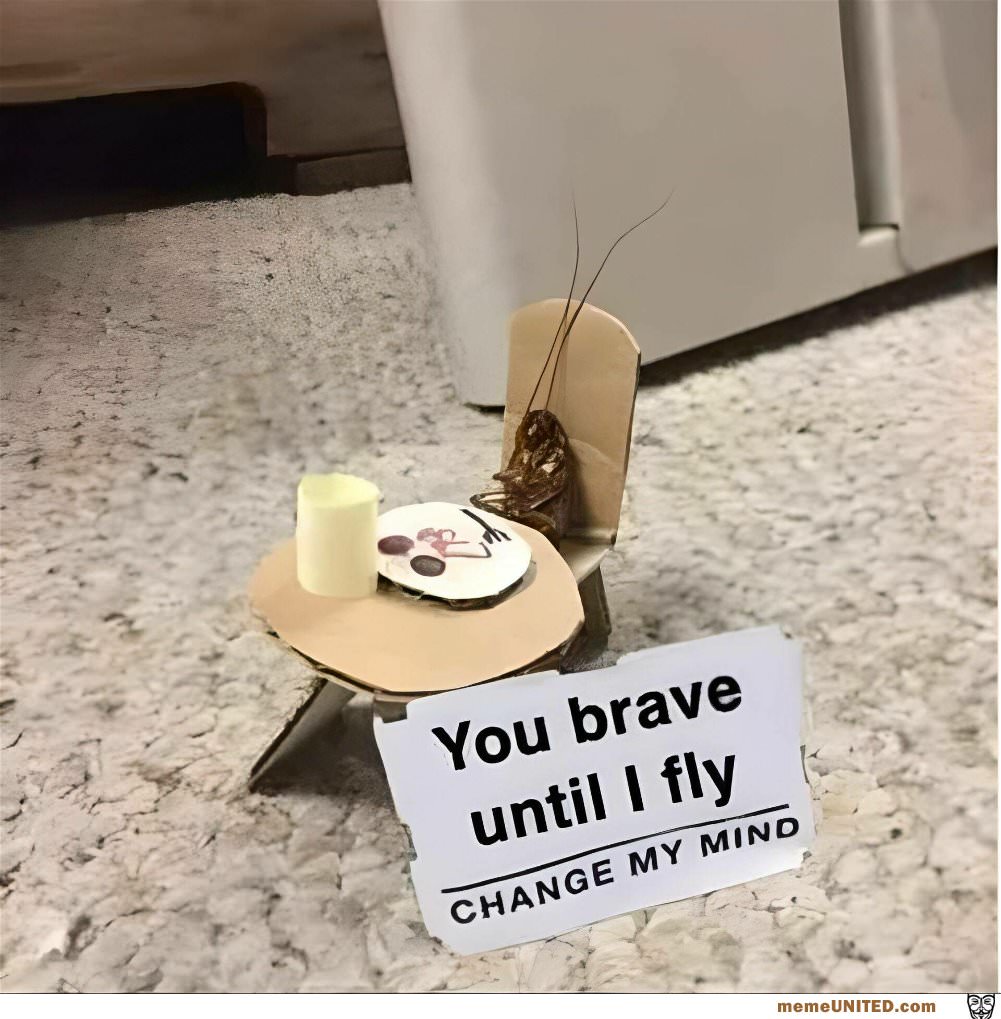 You Brave Until I Fly