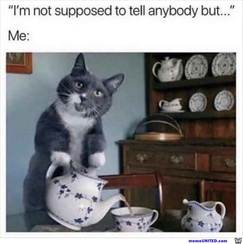 You Want To Tell Them