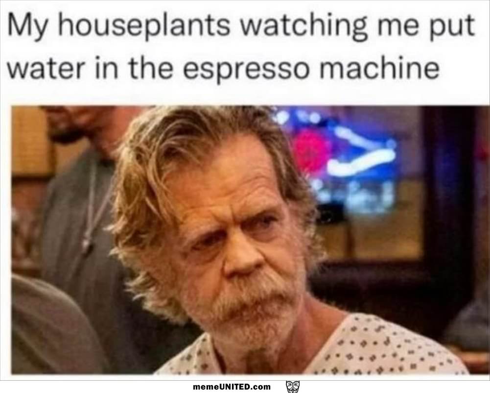 Your House Plants