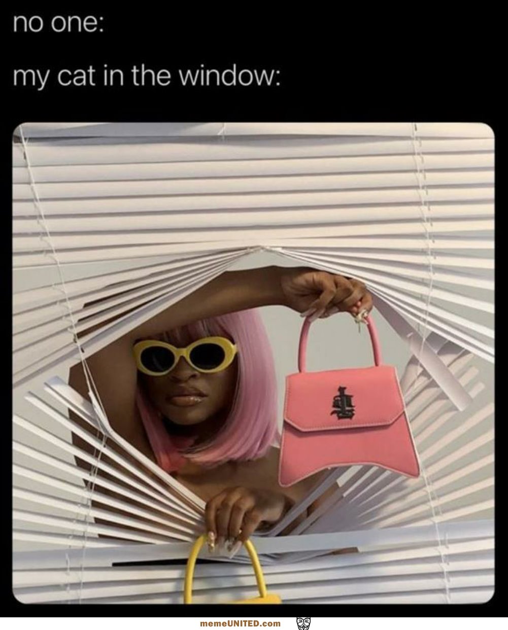 My Cat In The Window